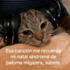 Esa canción me recuerda mi natal síndrome de paloma migajera, súbele.