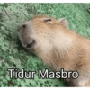 Capybara  5