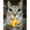 Gatito mewing bye bye 11