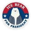 Bear bears 4 6
