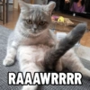 RAAAWRRRR
