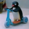 Pingüino Enojado 🐧😡 25