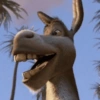 BURRO SHREK 5
