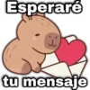 Esperaré geysiby tu mensaje