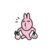 Pink korea rabbit  15