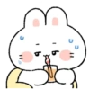 Rabbit centil  13