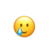 IPhone emojis 16
