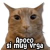 Apoco si muy vrga