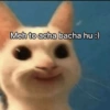 Meh to acha bacha hu :)