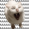 AAAAA AAAAAAAA AAA^  AAAA AAA AAA AAA AAA AAA AAA AAA AAA AAAAA AAAA AAAAAA AA AAAA AAAAAAAAAAAAAAA