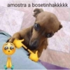 Aleatória 14