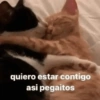 Não sei amar pouco 💔 16