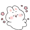 Rabbit centil  12