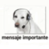 Memes. | @ocenferios  Haki. 5