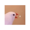RANDOM CURSED SHITPOST MEME  6
