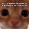 😛Diferentes moods😛 11