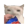 RANDOM CURSED SHITPOST MEME  10