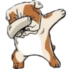 Dog salute 11