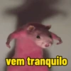 Ratinho debochado  8