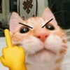 📌🌈🐈✨️Gatos Funny Mood✨️🐈‍⬛🌈 17