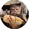 Monkey's  25