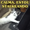 GATINHOS APOCALÍPTICOS 😸 9