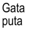 Textos brat frases 18