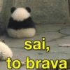 sai, to brava