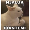 NJALUK DIANTEMI
