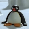 Pingüino Enojado 🐧😡 14