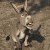BURRO SHREK 15