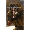 XD? 5