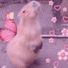 🍃 CAPYBARA MOODS 🍃 9
