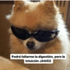Podrá fallarme la digestión, pero la intuición JAMÁS