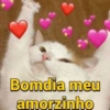 Bomdia meu amorzinho