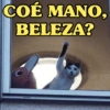 COÉ MANO, BELEZA?
