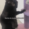 Martes de dudas existenciales