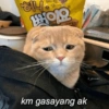 허니 이요 km gasayang ak gamzador