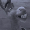 BURRO SHREK 14
