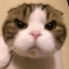 Death Stare