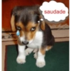saudade
