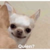 Quien?