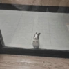 Bunnie 6