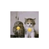 Jomok 9