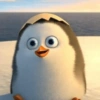 Memes cute😎 8