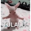 Lucu banget  10