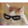 Meme~2 24