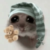 🐀 Sad Rat 🐀🐀 Meme 🐀 5
