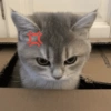 GATINHOS APOCALÍPTICOS 😸 8