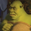 SHREK 13